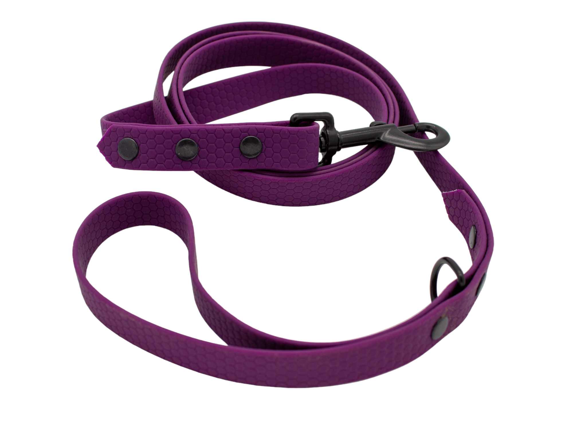 Führleine aus PVC HEXA Beschichtet Gurtband - Lila - 1,5 m