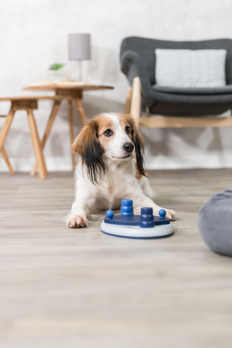 Trixie Push Away Strategiespiel - DOG Activity