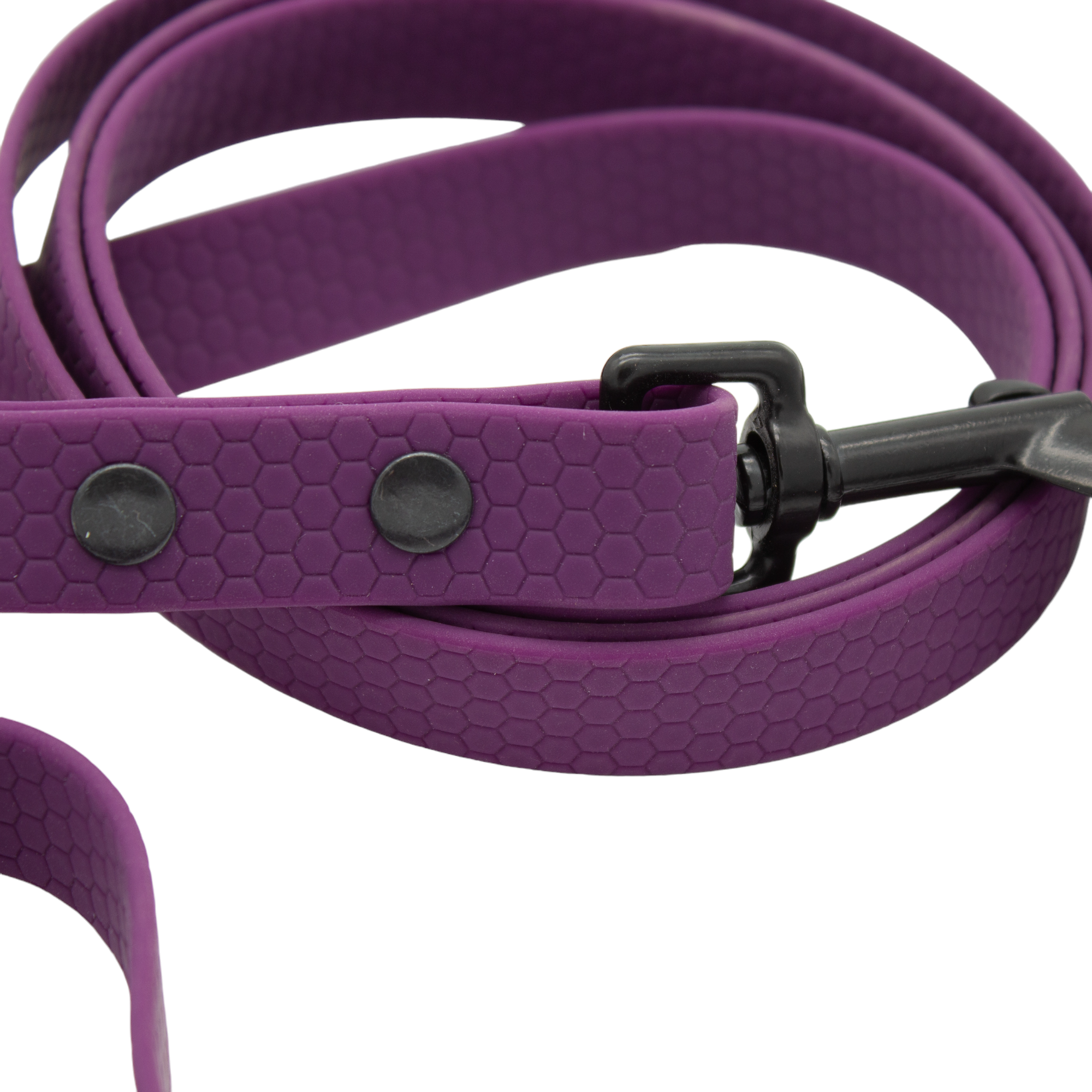 Führleine aus PVC HEXA Beschichtet Gurtband - Lila - 1,5 m